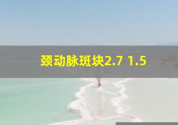 颈动脉斑块2.7 1.5